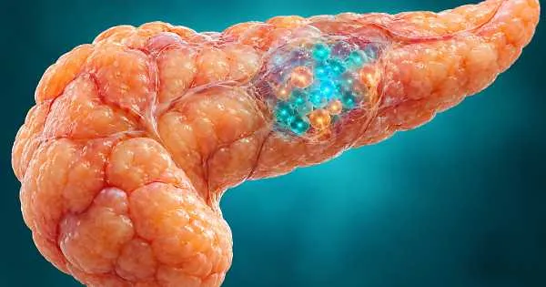 Weill Cornell Medicine: New Mechanism Linked to Beta Cell Loss
